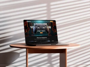 Gaming Products e-Commerce website - by vigroos web designs