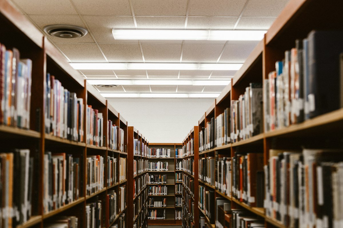 Higher education students using laptops in contemporary academic library with natural lighting